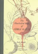 Das illustrierte Buch der essbaren Pflanzen - The Illustrated Book of Edible Plants