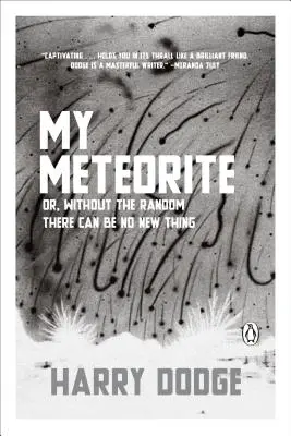 Mein Meteorit: Oder: Ohne den Zufall gibt es keine neuen Dinge - My Meteorite: Or, Without the Random There Can Be No New Thing