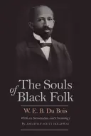 Die Seelen des schwarzen Volkes - The Souls of Black Folk