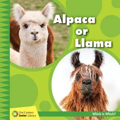 Alpaka oder Lama - Alpaca or Llama
