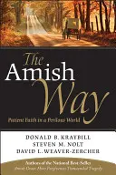 Der Weg der Amischen: Geduldiger Glaube in einer gefährlichen Welt - The Amish Way: Patient Faith in a Perilous World