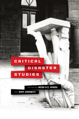 Kritische Katastrophenforschung - Critical Disaster Studies