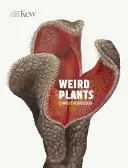 Seltsame Pflanzen - Weird Plants