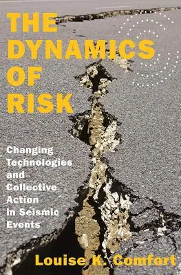 Die Dynamik des Risikos: Veränderte Technologien und kollektives Handeln bei seismischen Ereignissen - The Dynamics of Risk: Changing Technologies and Collective Action in Seismic Events