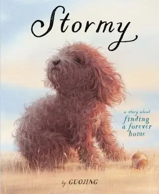 Stürmisch: Eine Geschichte über die Suche nach einem Zuhause für immer - Stormy: A Story about Finding a Forever Home