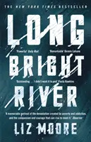 Long Bright River - ein intensiver Familienthriller - Long Bright River - an intense family thriller