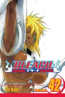 Bleach, Bd. 42, 42 - Bleach, Vol. 42, 42