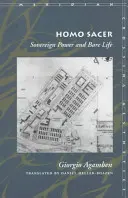 Homo Sacer Souveräne Macht und nacktes Leben - Homo Sacer Sovereign Power and Bare Life