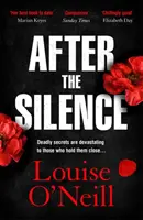 After the Silence - Der irische Kriminalroman des Jahres von An Post - After the Silence - The An Post Irish Crime Novel of the Year