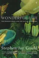Wunderbares Leben - Wonderful Life