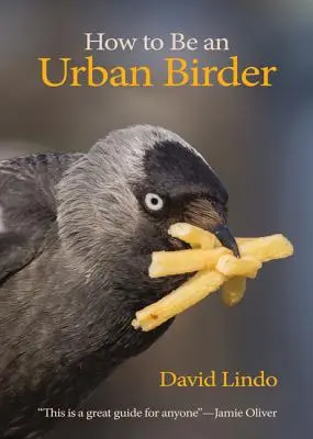 Wie man ein urbaner Vogelbeobachter wird - How to Be an Urban Birder