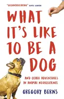 Wie es ist, ein Hund zu sein - und andere Abenteuer in der Tierneurologie - What It's Like to Be a Dog - And Other Adventures in Animal Neuroscience