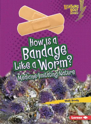 Wie ist eine Bandage wie ein Wurm? Medizin imitiert die Natur - How Is a Bandage Like a Worm?: Medicine Imitating Nature