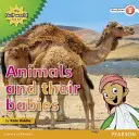Meine Welt am Golf und ich Sachbuch für die Stufe 2: Tiere und ihre Babys - My Gulf World and Me Level 2 non-fiction reader: Animals and their babies