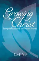 Wachsen in Christus: Das Fundament für christliche Reife legen - Growing in Christ: Laying the Foundations for Christian Maturity