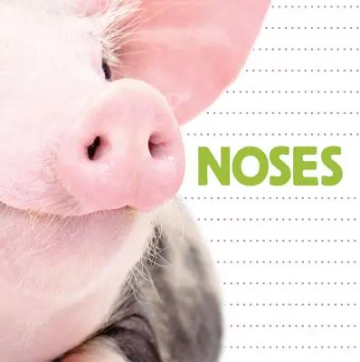 Nasen - Noses