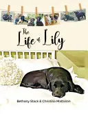 Das Leben der Lily - The Life of Lily
