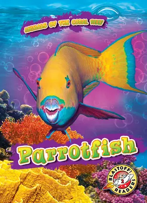 Papageienfisch - Parrotfish