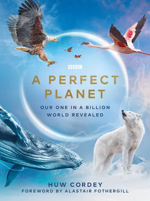 Ein perfekter Planet - A Perfect Planet