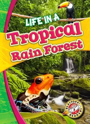 Leben im tropischen Regenwald - Life in a Tropical Rain Forest