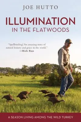 Erleuchtung in den Flatwoods: Eine Saison inmitten der wilden Truthähne - Illumination in the Flatwoods: A Season Living Among the Wild Turkey