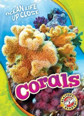 Korallen - Corals