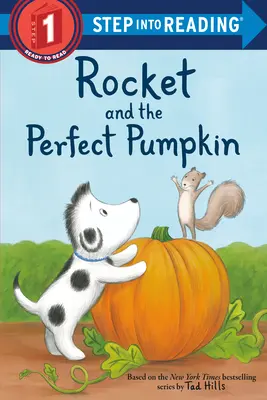 Rakete und der perfekte Kürbis - Rocket and the Perfect Pumpkin