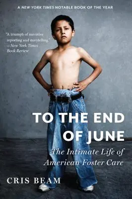 Bis zum Ende des Monats Juni: Das intime Leben der amerikanischen Pflegefamilien - To the End of June: The Intimate Life of American Foster Care