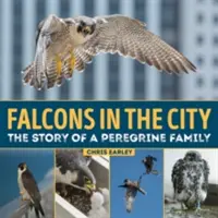 Falken in der Stadt: Die Geschichte einer Peregine-Familie - Falcons in the City: The Story of a Peregine Family