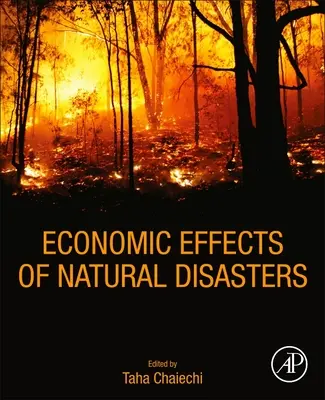 Wirtschaftliche Auswirkungen von Naturkatastrophen: Theoretische Grundlagen, Methoden und Werkzeuge - Economic Effects of Natural Disasters: Theoretical Foundations, Methods, and Tools