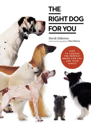 Der richtige Hund für Sie: Wie Sie die perfekte Rasse für sich und Ihre Familie auswählen - The Right Dog for You: How to Choose the Perfect Breed for You and Your Family