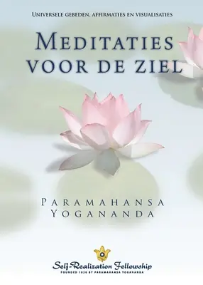 Metaphysische Meditationen (Niederländisch) - Metaphysical Meditations (Dutch)