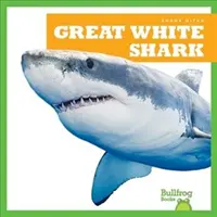 Weißer Hai - Great White Shark