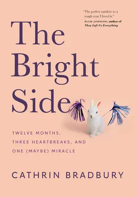 Die gute Seite: Zwölf Monate, drei Liebeskummer und ein (vielleicht) Wunder - The Bright Side: Twelve Months, Three Heartbreaks, and One (Maybe) Miracle