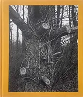 Tim Carpenter: Weihnachtstag, Bucks Pond Road - Tim Carpenter: Christmas Day, Bucks Pond Road