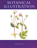 Botanische Illustration - Botanical Illustration
