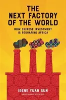 Die nächste Fabrik der Welt - Wie chinesische Investitionen Afrika umgestalten - Next Factory of the World - How Chinese Investment Is Reshaping Africa