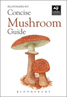 Kurzer Pilzführer - Concise Mushroom Guide