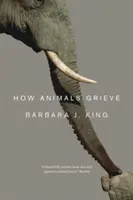 Wie Tiere trauern - How Animals Grieve