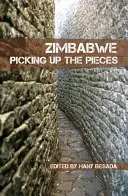 Simbabwe: Die Scherben aufsammeln - Zimbabwe: Picking Up the Pieces