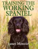 Training des Arbeitsspaniels - Training the Working Spaniel