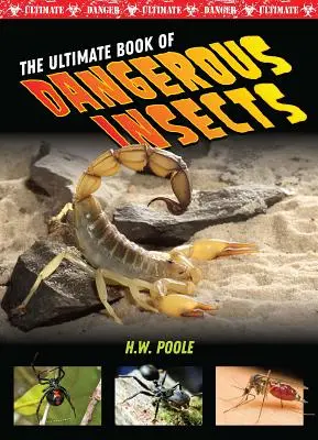 Das ultimative Buch der gefährlichen Insekten - The Ultimate Book of Dangerous Insects