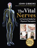 Vitale Nerven - Ein praktischer Leitfaden für Physiotherapeuten - Vital Nerves - A Practical Guide for Physical Therapists