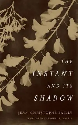 Der Augenblick und sein Schatten: Eine Geschichte der Fotografie - The Instant and Its Shadow: A Story of Photography