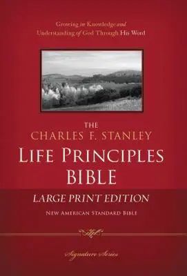 Charles F. Stanley Lebensprinzipien Bibel-NASB-Großdruck - Charles F. Stanley Life Principles Bible-NASB-Large Print