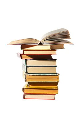 Pflichten der Direktoren - Directors' Duties