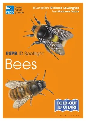 Rspb Id Spotlight - Bienen - Rspb Id Spotlight - Bees