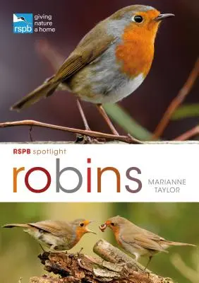 Rspb Spotlight: Rotkehlchen - Rspb Spotlight: Robins