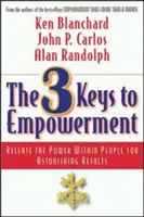 Die 3 Schlüssel zur Befähigung: Die Kraft in den Menschen freisetzen für erstaunliche Ergebnisse - The 3 Keys to Empowerment: Release the Power Within People for Astonishing Results