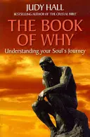 Das Buch des Warum - The Book of Why